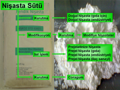 akis-semasi-nisasta